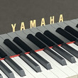 1995 Like new Yamaha C3 Conservatory grand piano - Grand Pianos